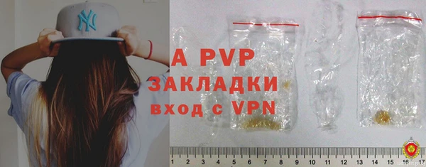 крисы Горняк