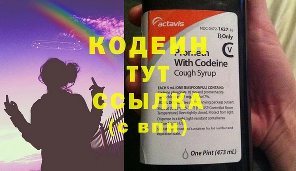 крисы Горняк