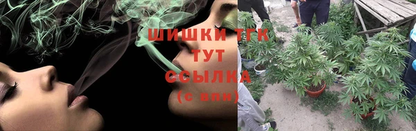крисы Горняк